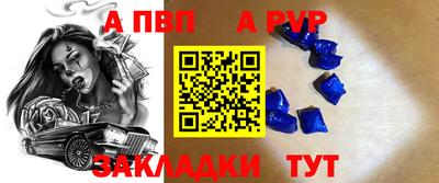 спайс Кингисепп