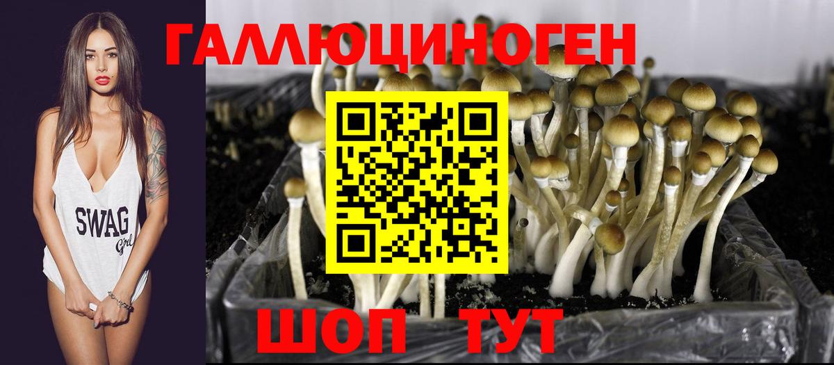 Псилоцибиновые грибы GOLDEN TEACHER  Вход с VPN  Красногорск 
